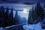 How To See December’s Full Cold Moon, The Last Full Moon Of 2022