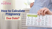 How to Calculate Your Pregnancy Due Date? (Easy Methods) - YouTube
