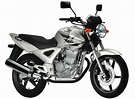 Honda Honda CBX 250 Twister - Moto.ZombDrive.COM