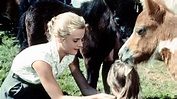 Heimatfilm-Klassiker mit Heidi Brühl: Ferien auf Immenhof | Film ...