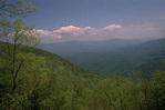 Cohutta Wilderness Area | Official Georgia Tourism & Travel Website ...