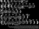 Calendario Lunar 2019 de Lonnie Pacheco, Kosmos Scientific de México, S ...