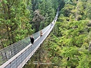 【加拿大】Capilano Suspension Bridge Park溫哥華卡皮拉諾吊橋公園－橫跨懸崖峽谷的驚奇之旅