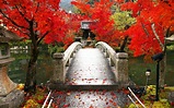 Eikando (Zenrinji Temple) | Travel Japan (Japan National Tourism ...