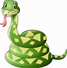 ᐈ Cartoon anaconda stock illustrations, Royalty Free anaconda pictures ...
