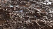 Enrico Tammekänd - Procedural Mud & Dirt Texture