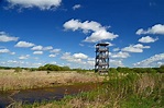 Aardla polder, Estonia