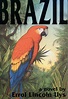 Brazil: a novel and...Twitter feed? Vook