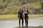 The Shannara Chronicles Tv Show, HD Tv Shows, 4k Wallpapers, Images ...