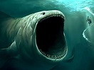 5 Monstruos del Océano , Que Seguro o Conocías ! El 4# te hará Temblar
