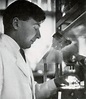The Nobel Prize medal of IVF pioneer Robert Edwards | Christie's