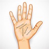 Cómo leer la mano en dos sencillos pasos - WeMystic | Leer la mano ...