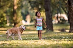 Walk with Your Dog: It’s Good For Your Mental Health - Discovery Mood ...