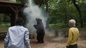 Cocaine Bear: wat er gebeurt als een beer verslaafd raakt aan coke