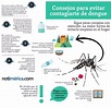 INFOGRAFÍA/ Consejos para evitar contagiarte de dengue