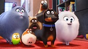Teaser Trailer For THE SECRET LIFE OF PETS Animated Movie — GeekTyrant
