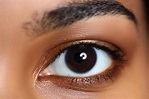 Dark Brown Eyes Stock Photos, Pictures & Royalty-Free Images - iStock