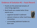 PPT - The Evidence for Evolution PowerPoint Presentation, free download ...