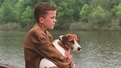 ‎My Dog Skip (2000) directed by Jay Russell • Reviews, film + cast ...