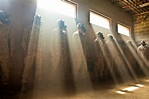 Marines stand against the wall inside a gas chamber during a training ...