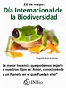 Imágenes y frases para el 22 de Mayo: Día de la Biodiversidad o ...