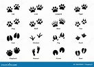 trace des animaux – traces pattes animaux – Succed