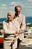 Image - Hyman Roth Havana.jpg | The Godfather Wiki | FANDOM powered by ...