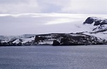 Goin' Feral One Day At A Time: Arctowski Station, King George Island ...