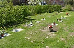 Unser Tierfriedhof
