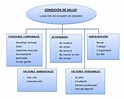 Fisioterapia por y para ti .: Clasificación de la CIF