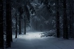 Dark Winter Forest Wallpapers - Top Free Dark Winter Forest Backgrounds ...