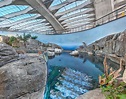Here's What The Renovated Montreal Biodome Looks Like On The Inside ...