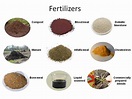 White Swan Homes and Gardens: FERTILIZERS - WHAT ARE THEY AND WHY ARE ...