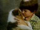 Michael-James Wixted's Lassie the Miracle Movie Gallery
