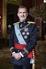 Le roi Felipe VI d'Espagne - Photos officielles des membres de la famille royale d'Espagne à ...