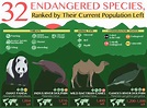 32 Endangered Species, Ranked by Their Current Population Left ...
