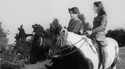 Riders of the New Forest (1948) | MUBI