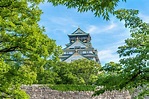 Osaka Castle El La Primavera, Prefectura De Osaka, Japón, Sitio Del ...