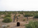 Terreno en Venta en El Desierto de Sonora, Sonora - 2190 hectareas - U ...