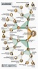 Family tree. Árbol genealógico. | Árboles de la familia real, Gráfico ...