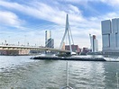 10 Dinge, die Sie in Rotterdam unternehmen können | Colorfulcities.de