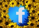 Photo de profil facebook fleur - l'atelier des fleurs