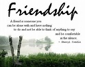 25+ Touching Friendship Quotes | PicsHunger