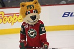 Minnesota Wild Mascot Name : Nordy Is Ready For Action Day 2019 Youtube ...