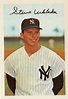 Steve Whitaker Damn Yankees, New York Yankees, Steve, Sports Jersey ...