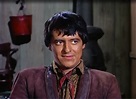 Pin on Henry Darrow in "The High Chaparral"