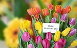25 Best Mothers Day Flowers Ideas