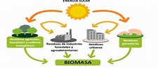 Biomasa – Planeta Verde