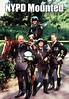 Watch N.Y.P.D. Mounted (1991) - Free Movies | Tubi