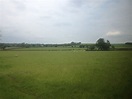 Edit free photo of Fields,fences,sheep,trees,england - needpix.com